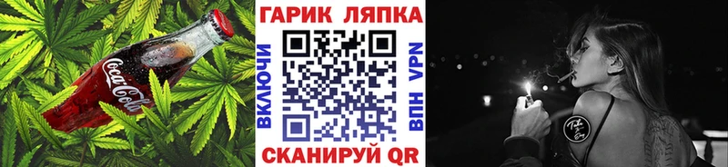 как найти наркотики  Александров  Cannafood конопля 