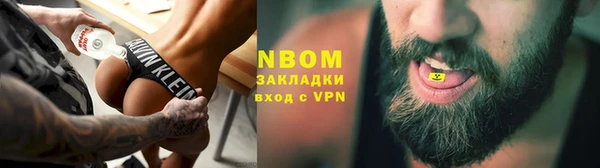 прущие грибы Новокубанск