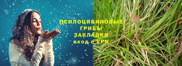 индика Абинск