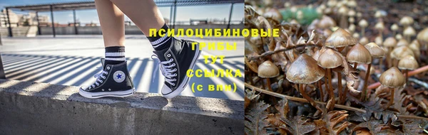 MDMA Premium VHQ Новозыбков