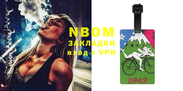 индика Абинск