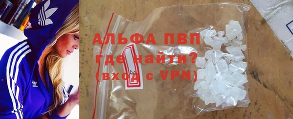 прущие грибы Новокубанск
